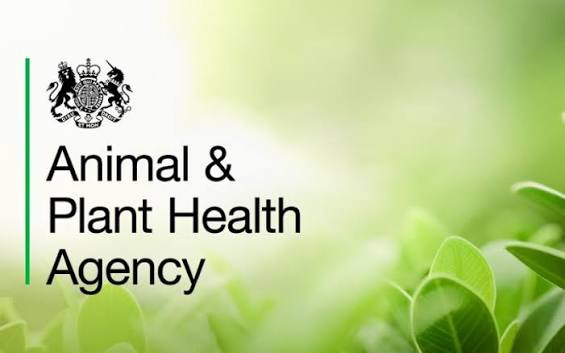 EU Pet Passports No Longer Valid for GB Residents from April 2026