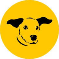 Dogs Trust Dog Rescue Essex