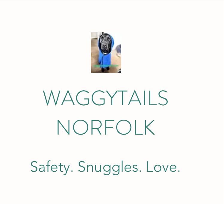 Logo of Waggytails Norfolk featuring text and a small, blurry image of a dog in a blue garment, with the tagline "Safety. Snuggles. Love." below the name.