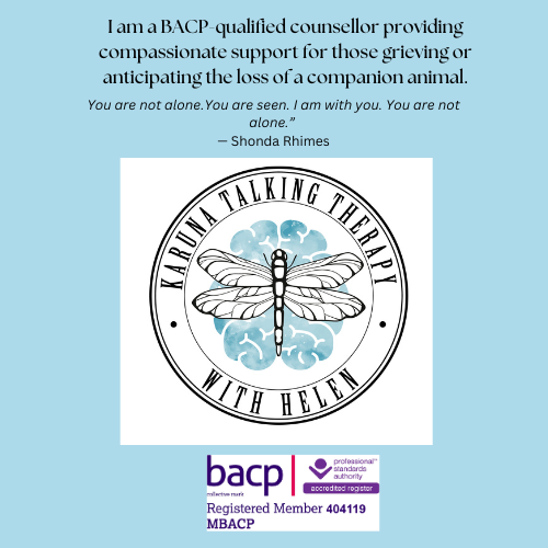 Flyer for 'Karuna Talking Therapy', featuring a dragonfly emblem, counselling service details, and a quote by Shonda Rhimes.