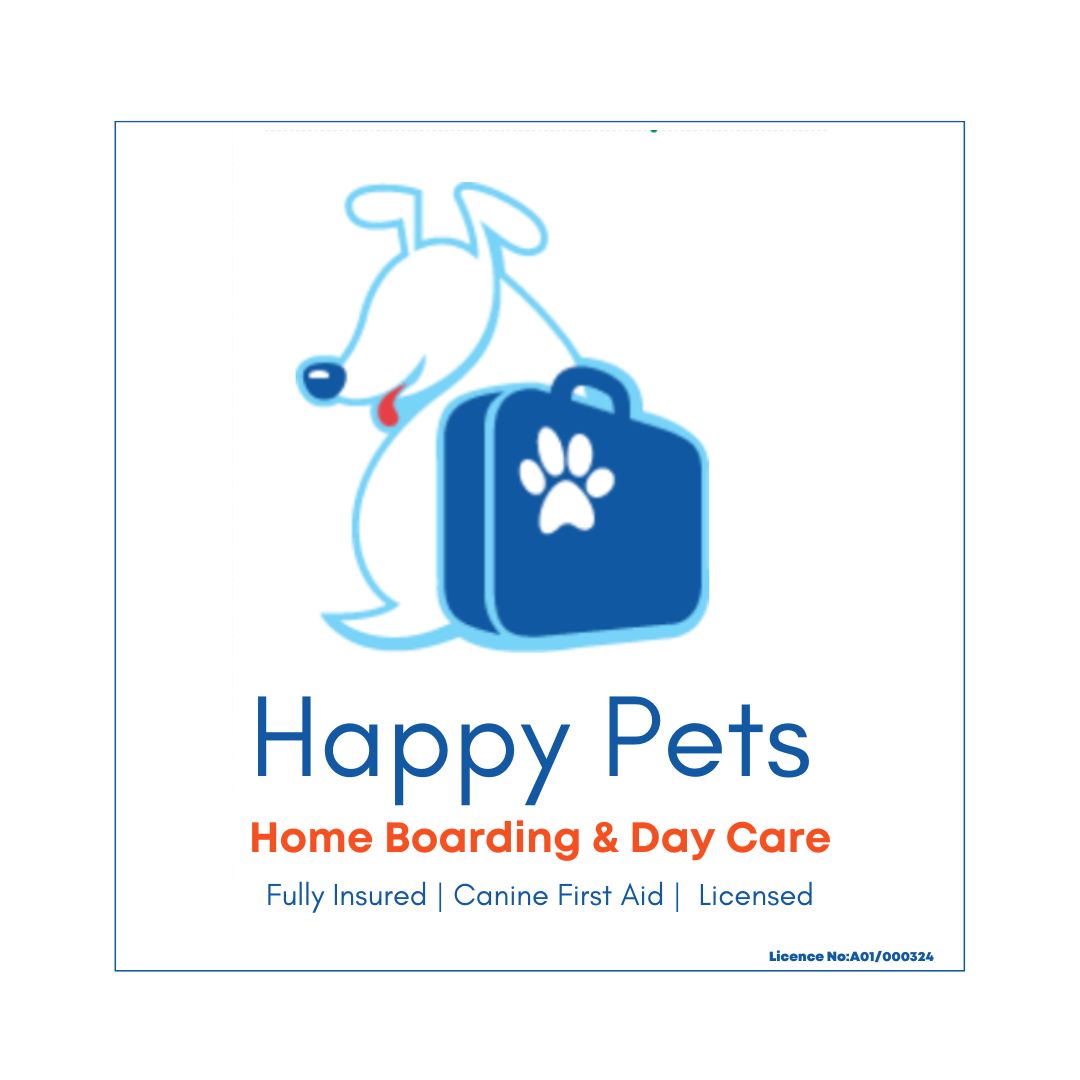 Dog Boarding & Daycare Taunton Happy Pets Home Boarding and Day Care