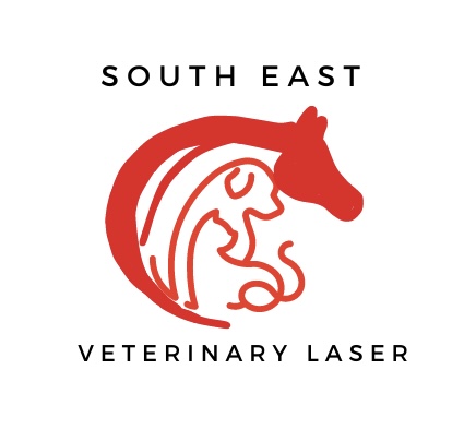 Southeast veterinary sale clinic