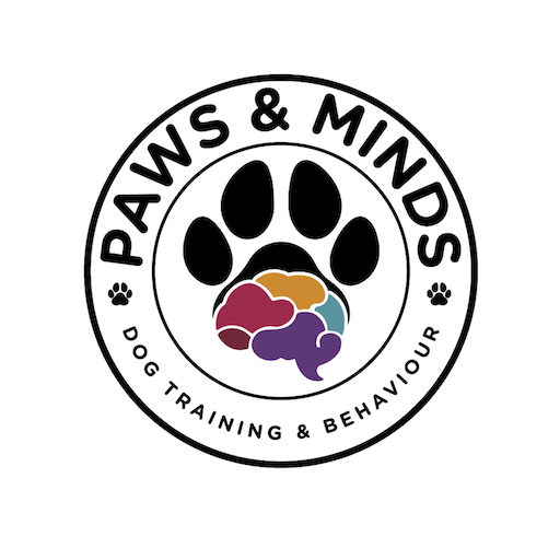 Dog Trainer and Behaviourist Dumfriesshire