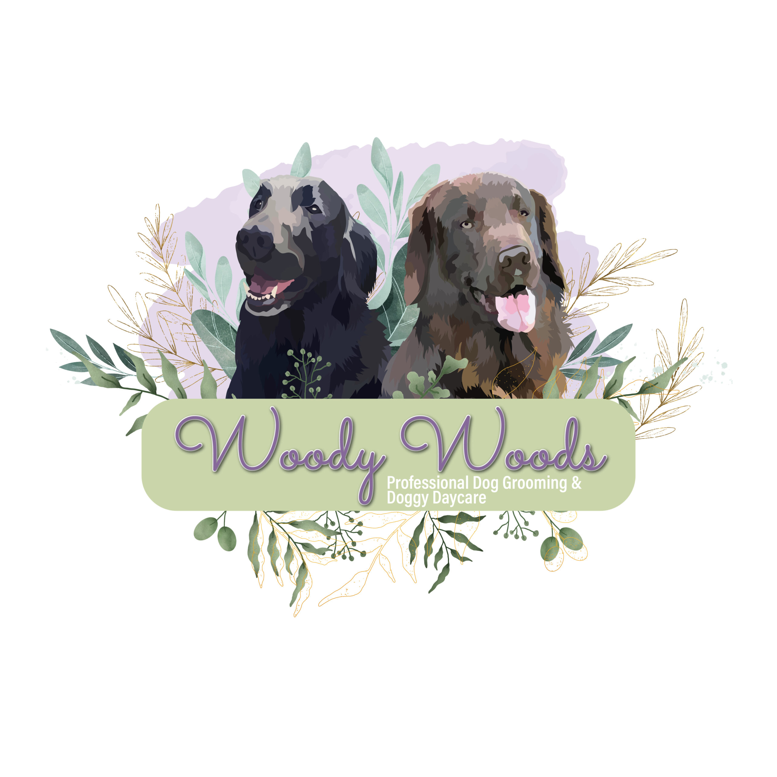 dog-grooming-daycare-charnwood-woody-woods-pet-services