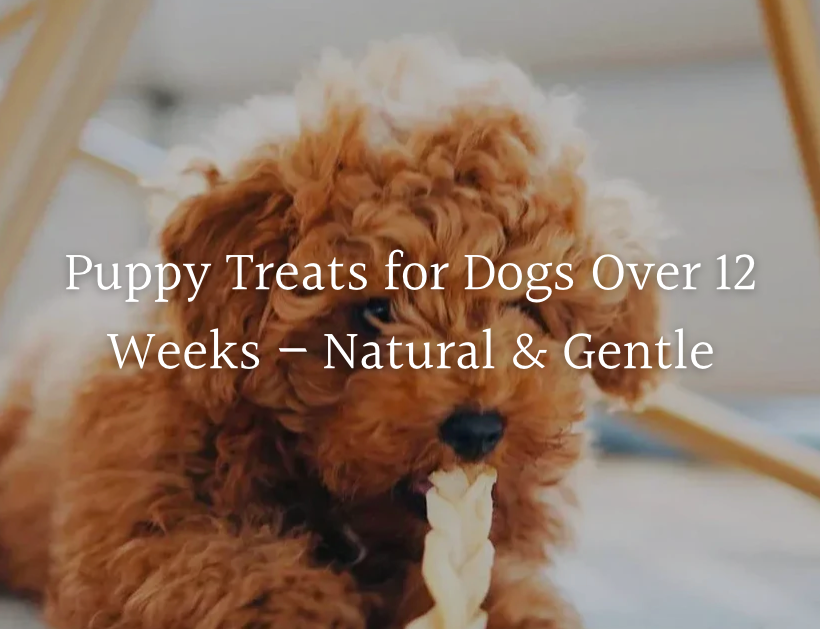 welfare-led-natural-dog-chews-for-puppy